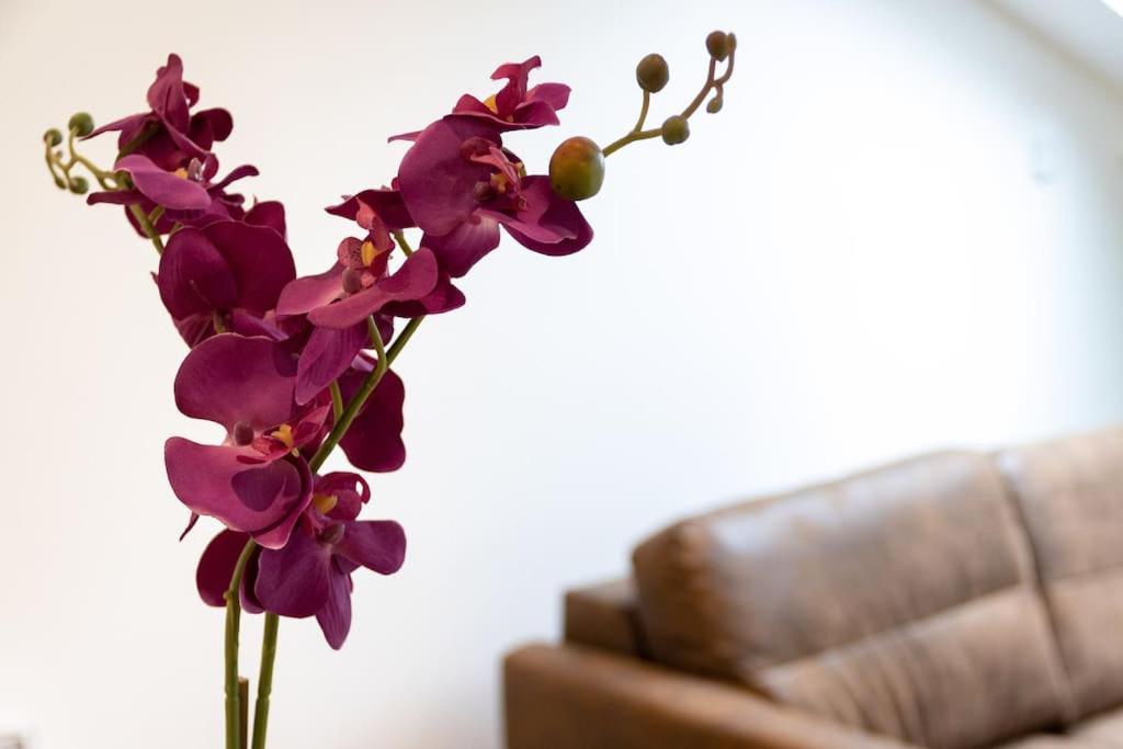 La Cambuse Topdestination-Bourg - Centre Ville - Classe 3 Etoiles 外观 照片